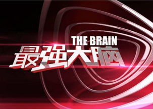 最強大腦 究竟誰是這個腦子的擁有者
